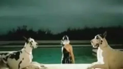 Lady gaga. film x à regarder gratuitement