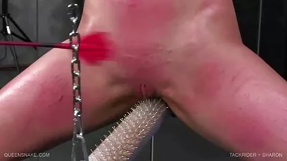 Queensnake.Com tackrider. / Sharon regarder gratuitement video x